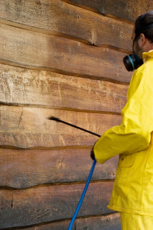 House Siding Cleaning