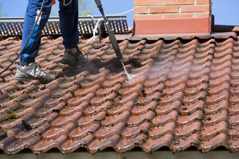 Roof Cleaning Specialists